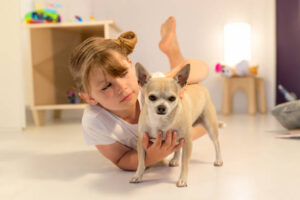 Beautiful young girl and her chihuahua hugging in the bedroom