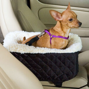 chihuahua sitting in his car seat