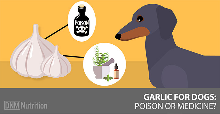 Garlic Pills for dogs