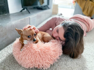 Young girl lying down stroking a chihuahua