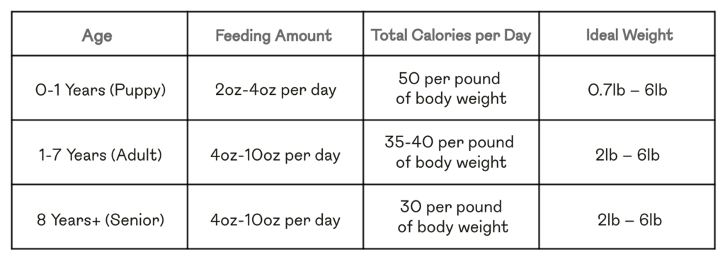 chart of calories a chihuahua need