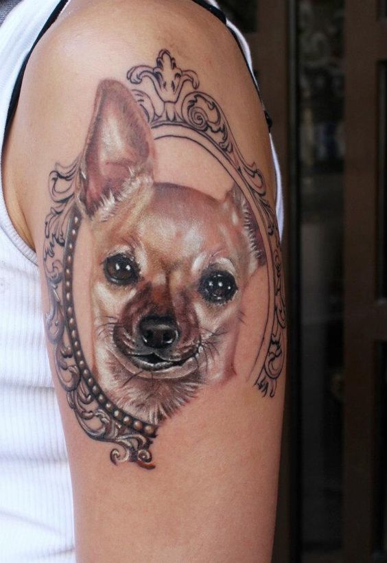 cool chihuahua tattoo