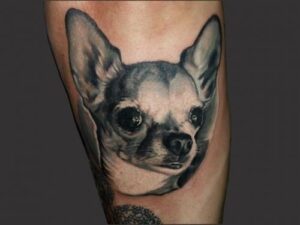 cute chihuahua dog tattoo