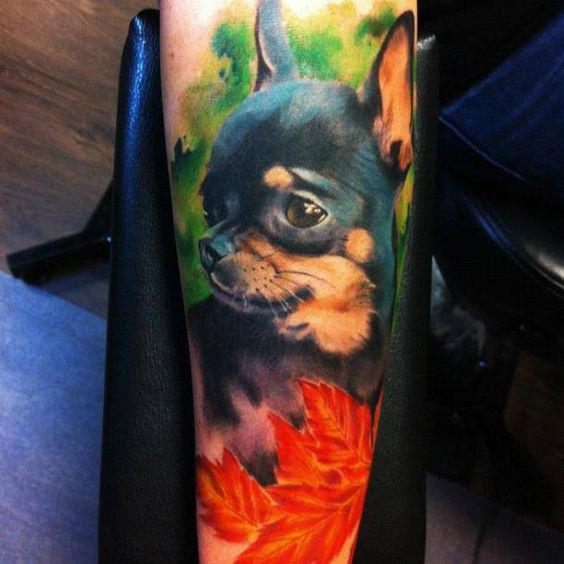 large chihuahua colored tattoo