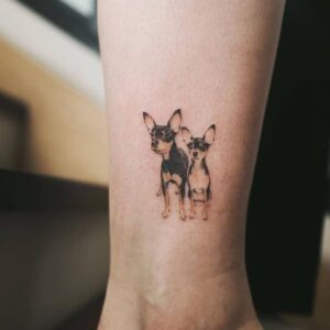 Two chihuahuas tattoo ideas