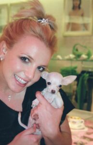 Britney Spears holding her chihuahua