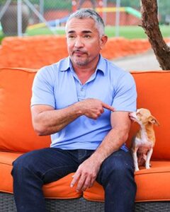 Cesar Millan with chihuahua