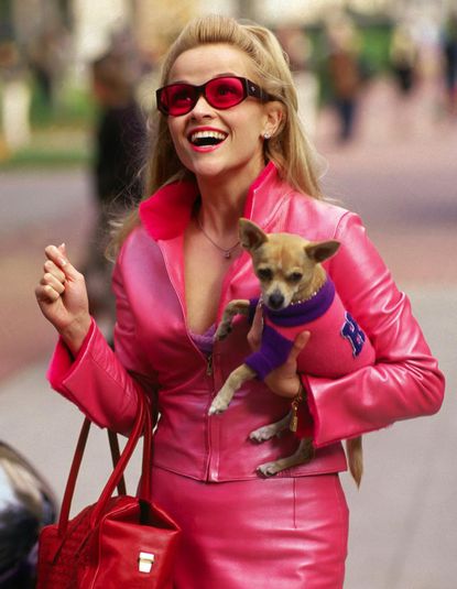 Reese Witherspoon with her chihuahua