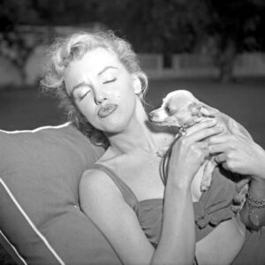 marilyn monroe whith her chihuahua