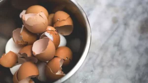 eggshells in a bowl