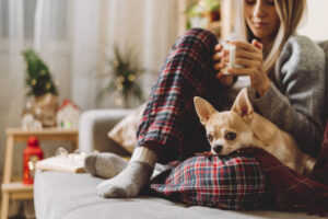  woman in knitted winter warm socks and sweater with sleeping dog and checkered plaid holding a cup of hot cocoa or coffee, during resting on couch at home in Christmas holidays. Winter drinks.