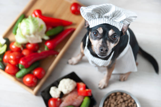 Dog in a chef's cap and apron at a table cooking food in the kitchen