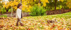 Cute girl in park at autumn with her chihuahua