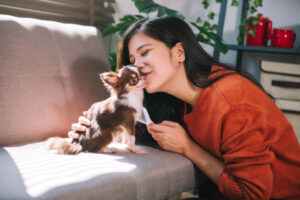Beautiful woman grooming dog and kissing on puppy , Pets lover concept.