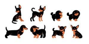 Dogs icon set. Dogs in various poses and action. 