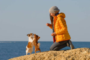 happy young woman dog trainer wearing wool hat and yellow jacket during training activity on autumn sand beach
