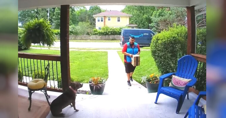 The delivery man is anxious to see the dog on the porch, but they end up having the sweetest conversation.